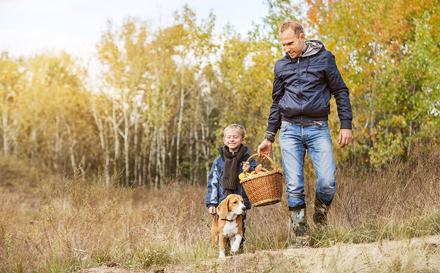 Father and sone with dog on a picnic